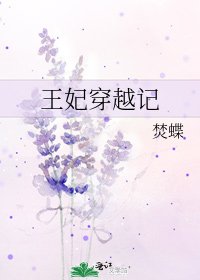 王妃穿越记